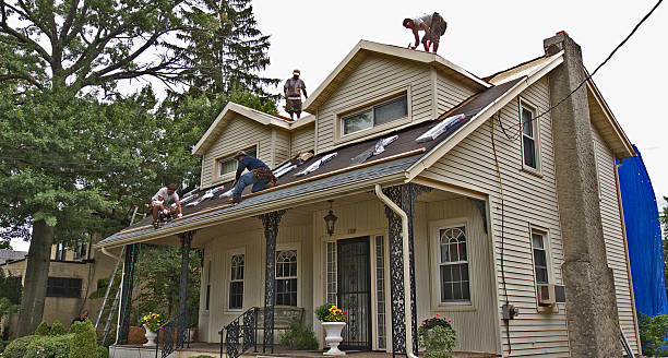 Best Flat Roof Repair Services  in Aust, IN