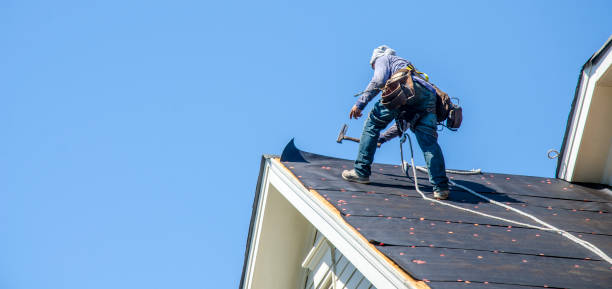 Best Metal Roofing Contractor  in Aust, IN